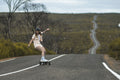 Hadean - Carbon All Terrain - Evolve Skateboards New Zealand